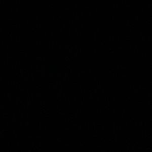 Meet your Posher, Destiny